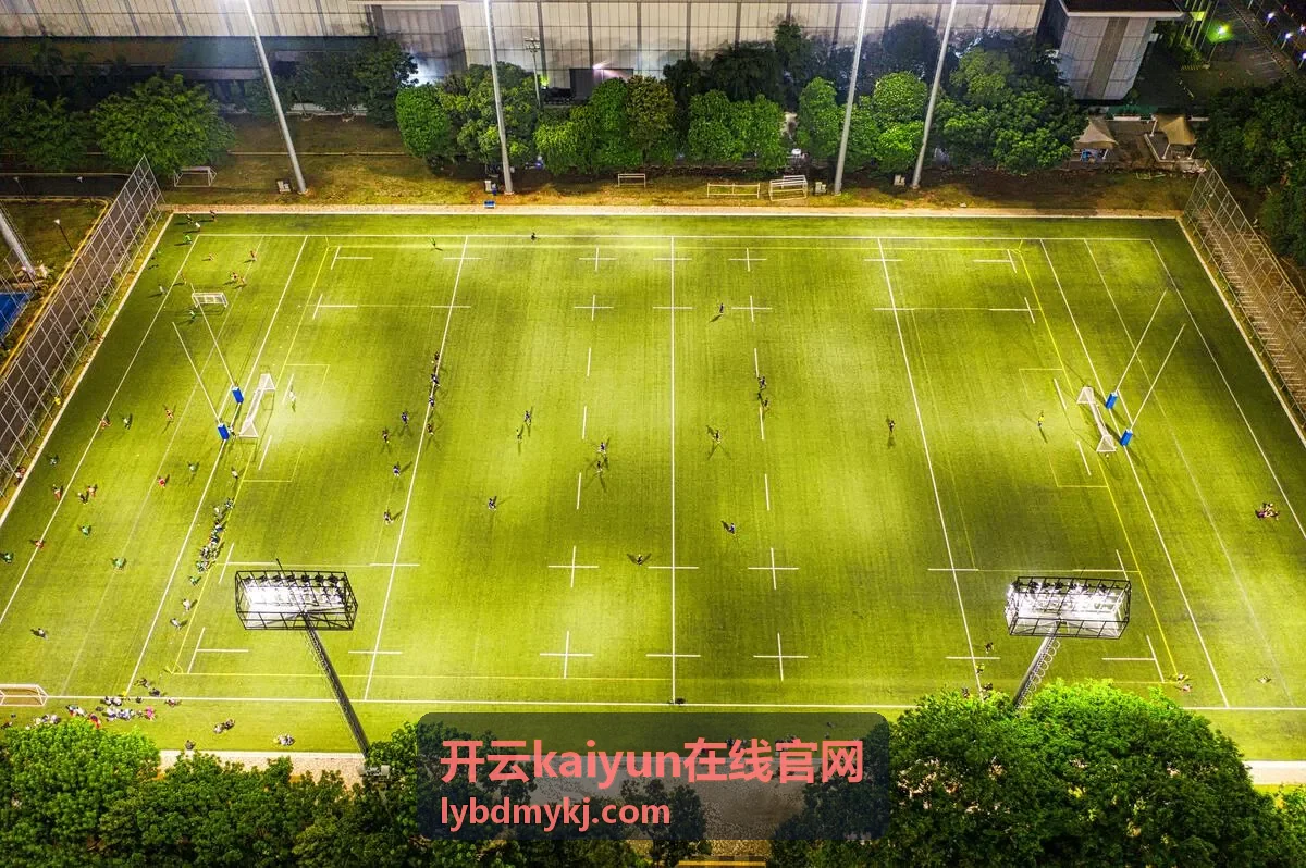 开云kaiyun在线官网在线共编与文件版本管理示意